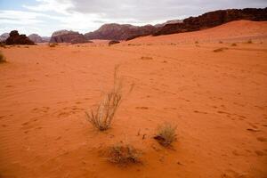 wadi rom öken- i jordan. på de solnedgång. panorama av skön sand mönster på de dyn. öken- landskap i jordan. foto