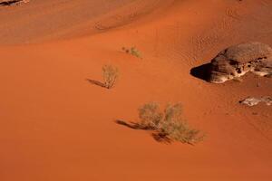 wadi rom öken- i jordan. på de solnedgång. panorama av skön sand mönster på de dyn. öken- landskap i jordan. foto