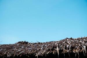 traditionell tak från indonesien med en klar blå himmel under de dag foto