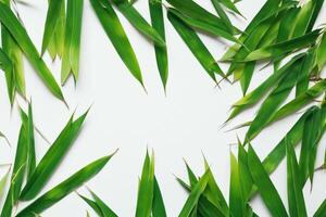 fattande de locka av skön bambu löv, var graciös grön blad dansa i harmonisk symfoni, skapande en lugn oas av naturens balans och tidlös skönhet foto