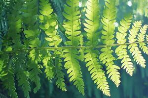 ai genererad ormbunke blad textur i natur suddig bakgrund, skog begrepp foto