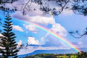 regnbåge i de himmel i de landsbygden i de regnig säsong i thailand. foto