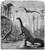 dinosaurier, stegosaurus och compsognathus i ett araucaria landskap., årgång gravyr. foto