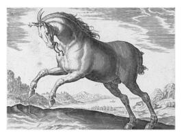 häst av de ras equus regius de kunglig, årgång illustration. foto