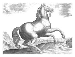 häst från Frankrike, årgång illustration. foto