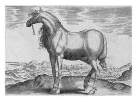 häst från Grekland, årgång illustration. foto