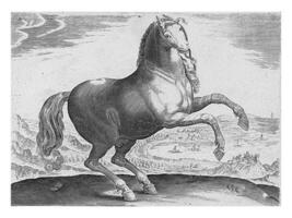 häst från sydlig Italien, årgång illustration. foto