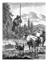 herde med en lång pinne och nötkreatur, jan de visscher, efter nicolaes pietersz. berchem, 1643 - 1692 foto
