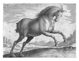 häst av de ras equus regius foto