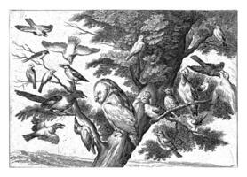 fåglar i en träd, pieter skåpbil lisebetten foto