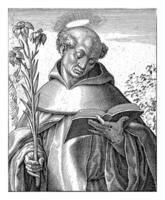 h. dominicus, antonie wierix ii, 1565 - 1604 foto