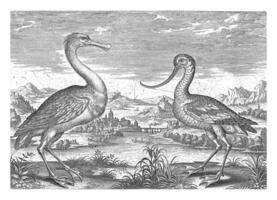 två plask fåglar i en flod landskap, adriaen collaert, 1598 - 1602 foto