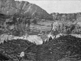 skog omvänd förbi de vind i de Berner Oberland, årgång gravyr. foto