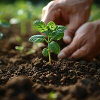 ai genererad händer plantering en träd fröplanta i bördig jord, stänga upp skott symboliserar hoppas, återplantering av skog, och jord dagen anda. foto