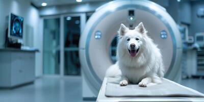 ai genererad generativ ai, hund på tabell på veterinär klinik på mri, undersökning i veterinär kirurgi sjukhus foto