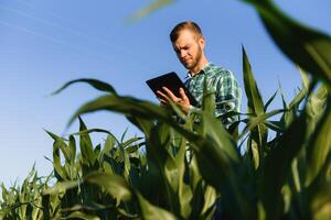 Lycklig ung jordbrukare eller agronom använder sig av läsplatta i majs fält. bevattning systemet i de bakgrund. organisk jordbruk och mat produktion foto