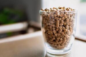 pellets för spis eller panna i en glas, komprimerad trä granul foto