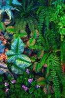 grön blad bakgrund textur bakgrund foto