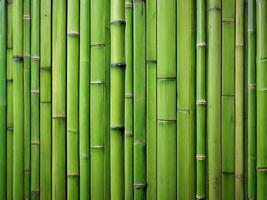 ai genererad grön bambu vägg textur bakgrund foto