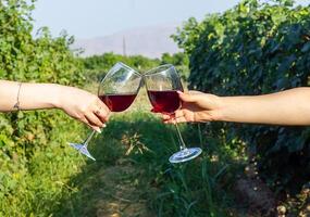 en hand innehav glas av vin i vingård foto