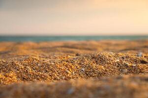 närbild av skal gyllene sand i grund djup av fält med hav eller hav i de bakgrund på solnedgång. marin bakgrund i värma färger foto