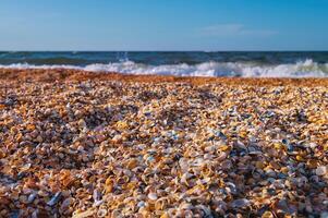 hav sand tillverkad från skal på en sommar dag. närbild av de strand och hav Vinka foto