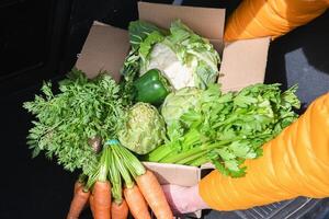 kvinna tar ut en kartong låda med ett sortiment av färsk grönsaker från de trunk av en bil, organisk mat foto