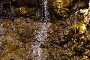 natur landskap, natur bakgrund foto