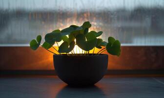 ai genererad grön växt i en pott på de bakgrund av de fönster på natt foto
