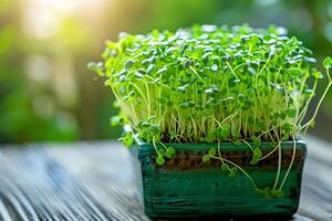 ai genererad inomhus- microgreen trädgård med effektiv belysning med ai genererad. foto