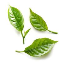 ai genererad grön te leafs på vit bakgrunder. foto