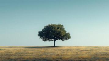 ai genererad enslig träd stående mot en klar himmel, dess grenar nå ut i en gles foto
