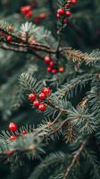 ai genererad festlig jul träd grenar med röd bär foto