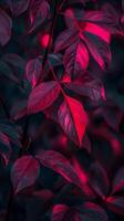 ai genererad vibrerande röd löv i en drömmande mörk botanisk scen foto