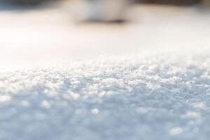 skön snöig fält med snöflingor på en solig dag. snö textur. vinter- bakgrund foto