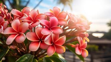 ai genererad vibrerande rosa plumeria blommor i solljus foto