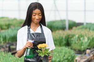 skön ung leende afrikansk amerikan flicka, arbetstagare med blommor i växthus. begrepp arbete i de växthus, blommor. foto