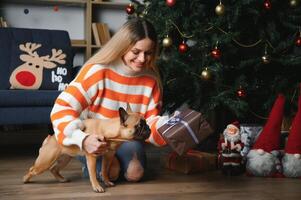 liten hund med ägare spelar och har roligt. ung tonåring flicka Sammanträde på de soffa med henne sällskapsdjur. jul träd i de bakgrund. mjuk selektiv fokus foto