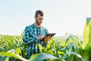Lycklig ung jordbrukare eller agronom använder sig av läsplatta i majs fält. bevattning systemet i de bakgrund. organisk jordbruk och mat produktion foto