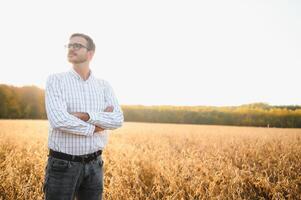 agronom inspekterar sojaböna beskära i jordbruks fält - agro begrepp - jordbrukare i sojaböna plantage på bruka foto