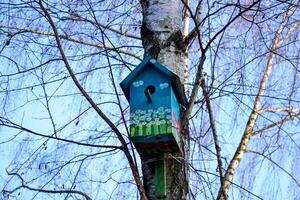 färgrik fågelholk på de träd. nesting låda. foto