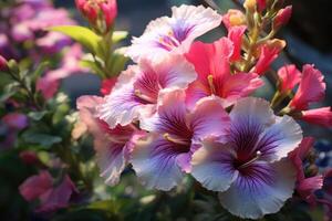 ai genererad blommande växt, mång Färg motsvarande, blomma blanda foto