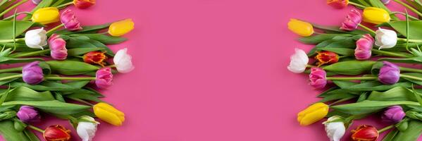 flerfärgad tulpaner på en rosa bakgrund. blommor baner med plats för text. tulpan kopia Plats. vår Semester vykort. blomma bukett. foto