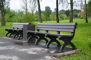 trä- brun bänkar och urna i sommar i en stad parkera. tömma bänkar i de parkera med grön träd och en väg. bekväm bänkar för avkopplande. foto