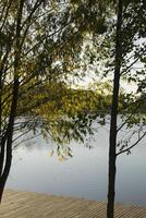 sjö i de skog. höst träd på de sjö. foto