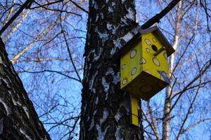 färgrik fågelholk på de träd. nesting låda. foto