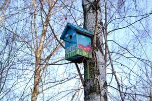 färgrik fågelholk på de träd. nesting låda. foto