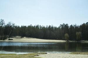 skog landskap på vår. solsken väder. skog sjö. foto