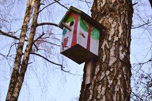 färgrik fågelholk på de träd. nesting låda. foto