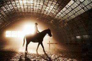majestätisk bild av häst häst siluett med ryttare på solnedgång bakgrund. flickjockeyn på ryggen av en hingst rider i en hangar på en gård och hoppar över ribban. begreppet ridning foto